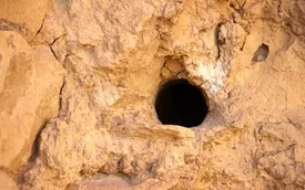 جویندگان گنج در آتشکده ساسانی!