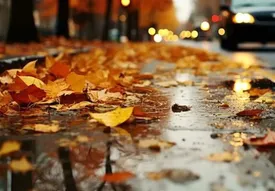 وضعیت هوای تهران فردا دوشنبه ۱۰ شهریور ۱۴۰۴ 