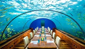 ببینید | عجیبترین و ترسناکترین رستورانهای جهان