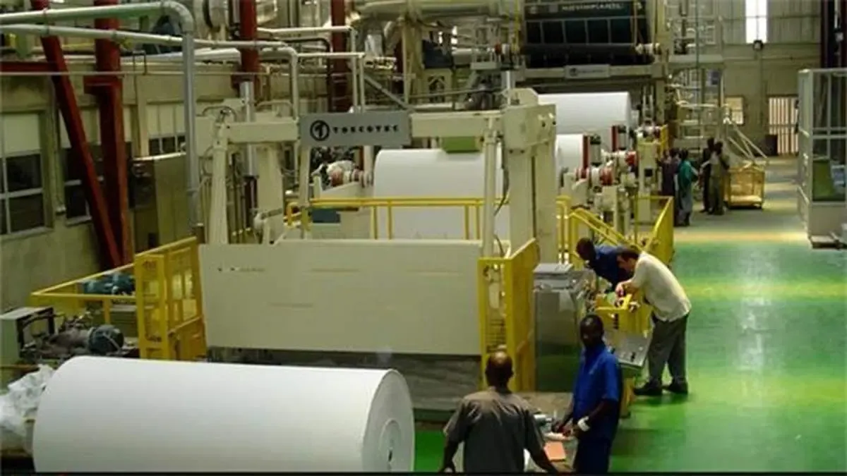 صدای ورشکستگی صنایع چوب و کاغذ به آسمان رسید/ قاچاقچیانِ چوب کارگران را به روز سیاه نشاندند