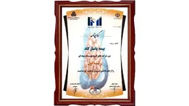 برتری بیمه پاسارگاد با مهر تایید IMI100