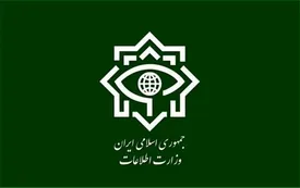 وزارت اطلاعات: اعضای 23 گروه و شبکه اخلالگر کلان ارزی دستگیر شدند