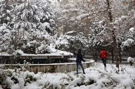 هشدار سازمان هواشناسی؛ سامانه بارشی جدید از فردا در ایران فعال میشود