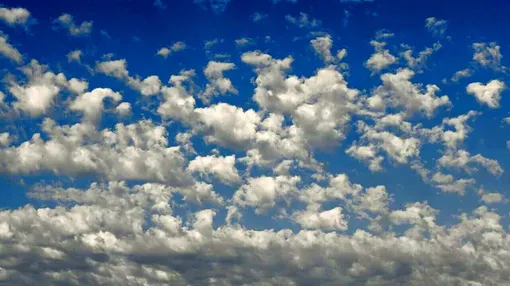 رنگ سال ۲۰۲۶ رسماً اعلام شد/عکس