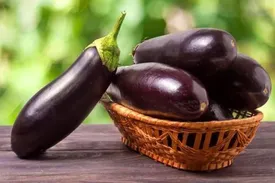 لب به بادمجان نزنید؛ سقط جنین و ابتلا به سنگ کلیه در کمین است