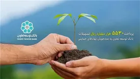 پرداخت 5530 میلیارد ریال تسهیلات بانک توسعه تعاون به مددجویان نهادهای حمایتی