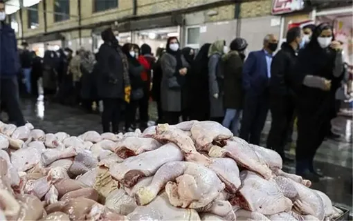 روایتی تلخ و تکان دهنده از تأثیر گرانی مرغ بر سفره نیازمندان/ برخی افراد برای تهیه مرغ ناچار به مبادله کالا به کالا شده‌اند