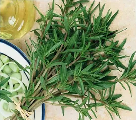 تقویت حافظه و تمرکز ذهنی، فقط با خوردن این گیاه!