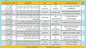 مشارکت فعالانه بیمه دانا در پنل‌های تخصصی سندیکای بیمه‌گران
