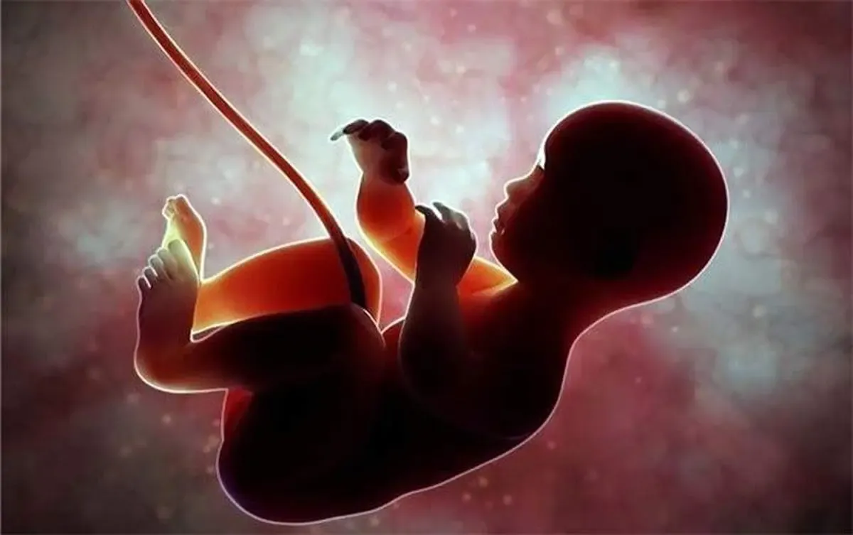 70 درصد سقط جنین‌های غیرقانونی در خانه‌ها انجام می‌شود/اگر پزشکی سقط جنین غیرقانونی انجام دهد، پروانه کسبش باطل می‌شود