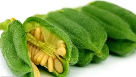 کشت یک گیاه خاص با روشی که تا کنون سابقه نداشته است