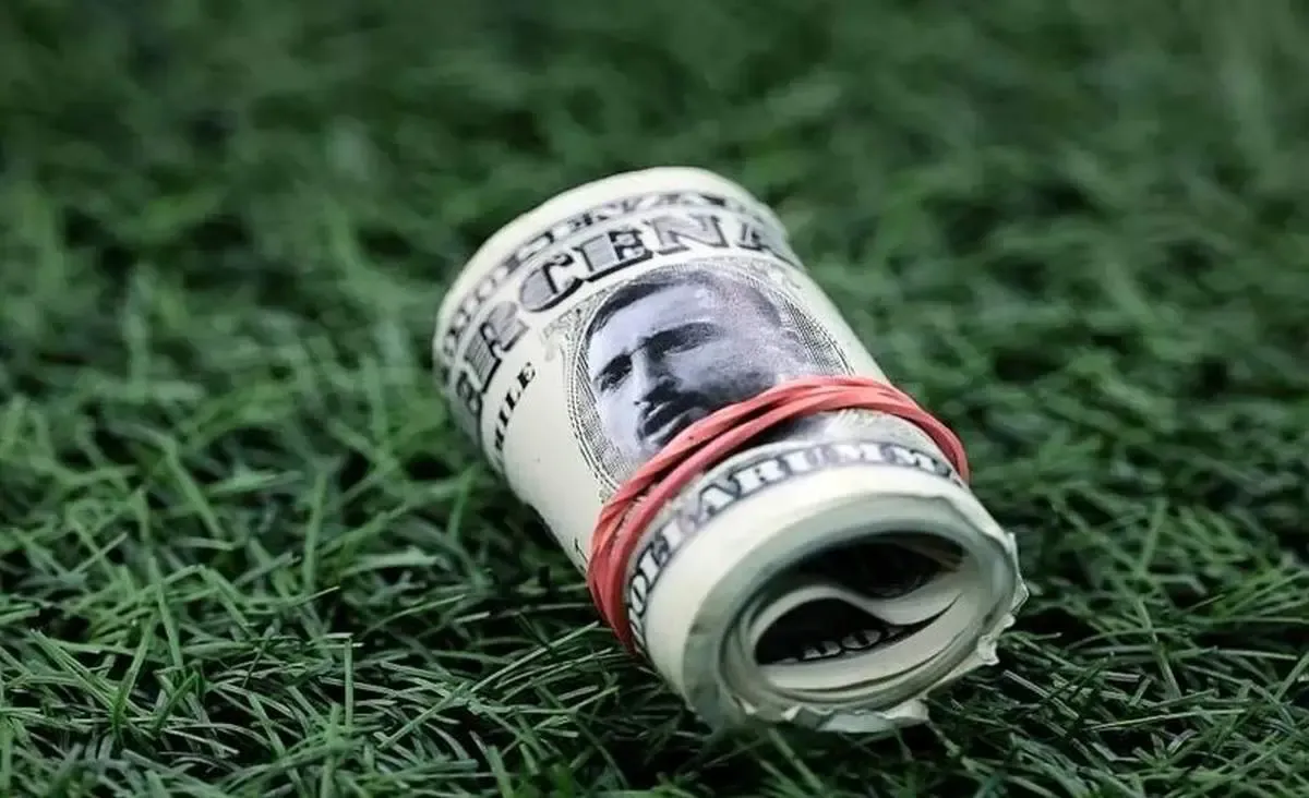 یک پیش بینی امیدوار کننده در مورد نرخ دلار