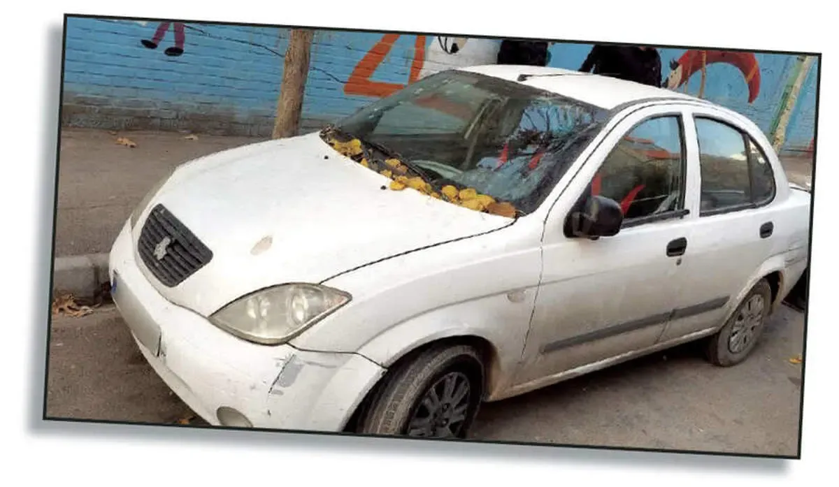 اعتراف دختر ۳۱ ساله به قتل فجیع پدر ثروتمندش در مشهد