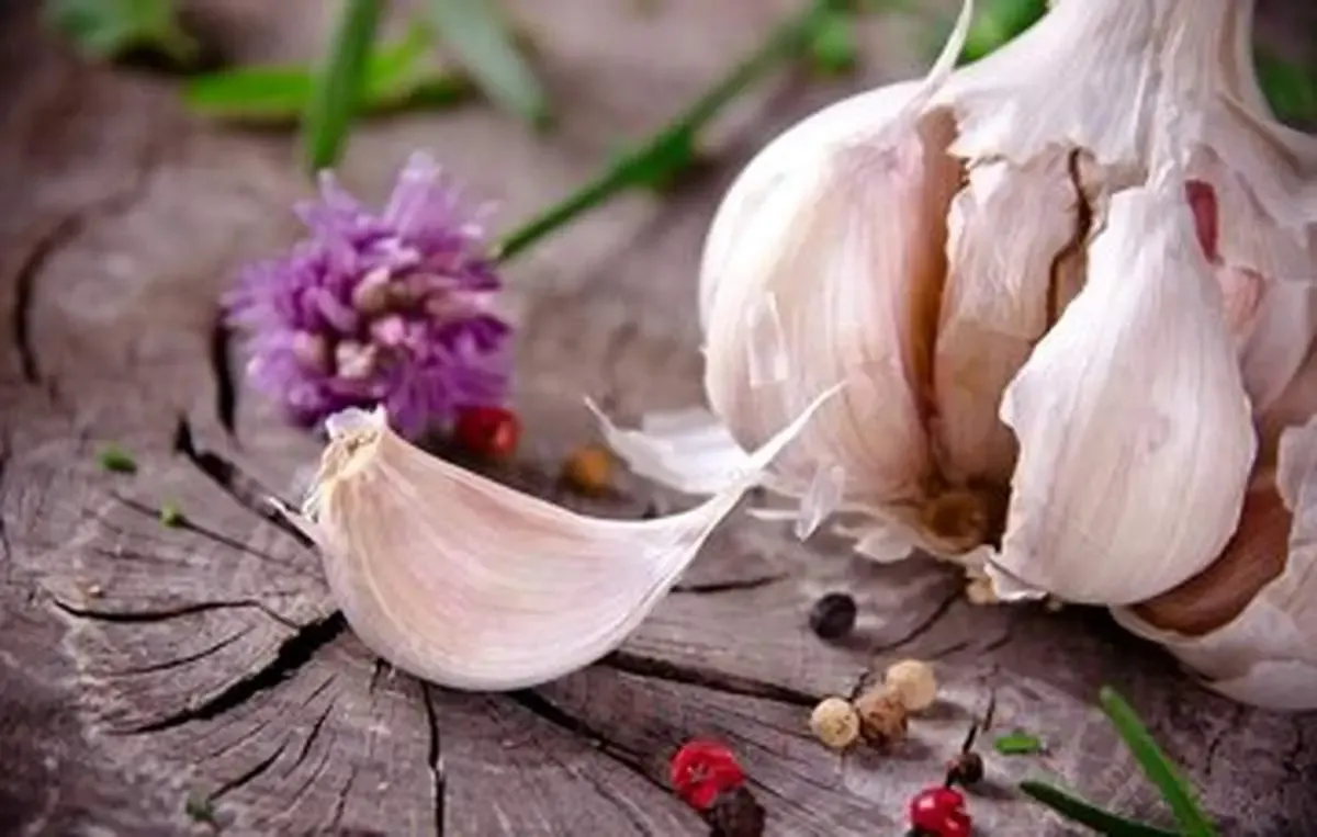 برای سلامت قلب سیر بخورید