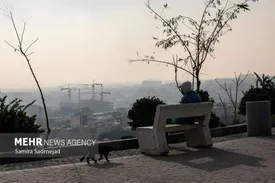 مدارس و دانشگاه‌های البرز غیرحضوری شد