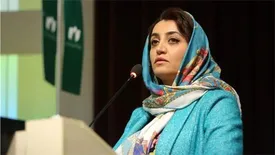 سازمان نظام صنفی رایانهای مشمول قانون عام نظام صنفی نیست/شرکتهای عضو نصر دیگر پلمب نمیشوند