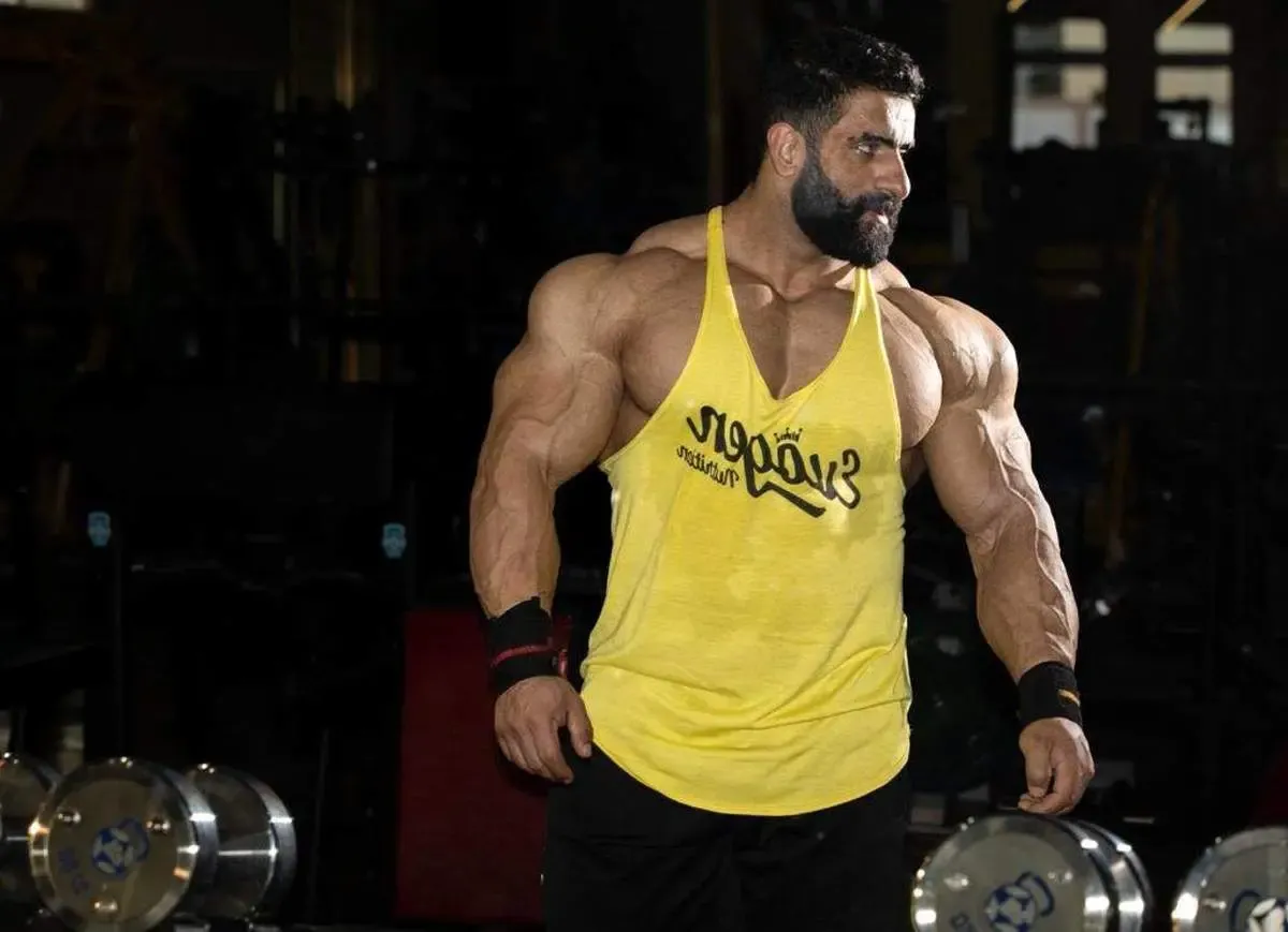 توصیه به چوپان : برگرد