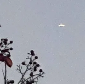 حمله بشقاب‌پرنده ها به آسمان این نقطه از جهان/ عکس