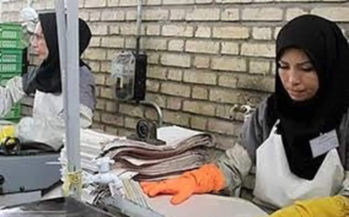 زنان ۵۰،۶۰ ساله برای شغل مراجعه می‌کنند/ به پزشکیان رای بدهید تا شبیه کره شمالی نشویم