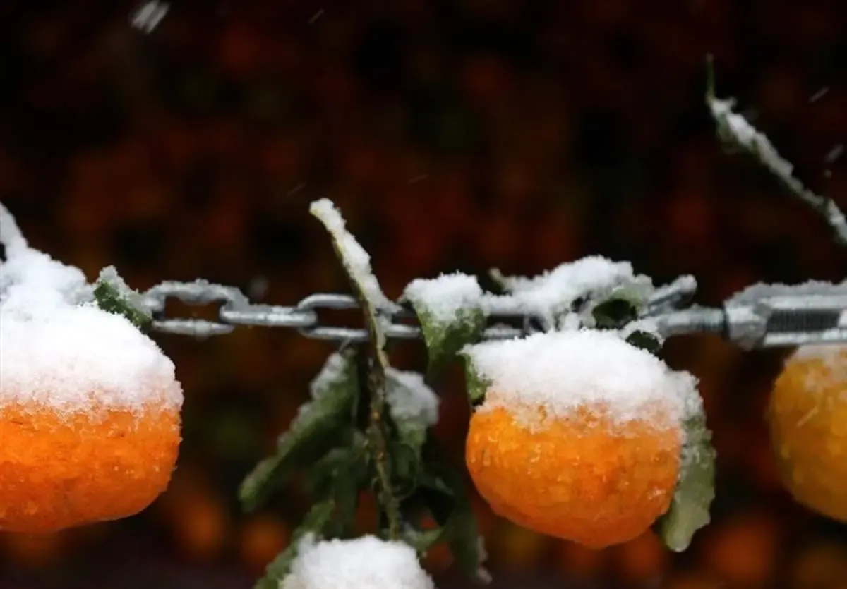 امروز بارش باران و برف در این ۱۸ استان