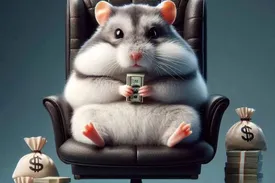 کد مورس همستر کمبات امشب ۸ تیر/ عکس