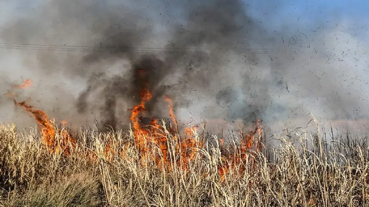 هور عظیمی که سالیانی است می‌سوزد