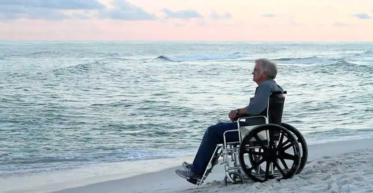 معلولان نیم بها سفر کنند