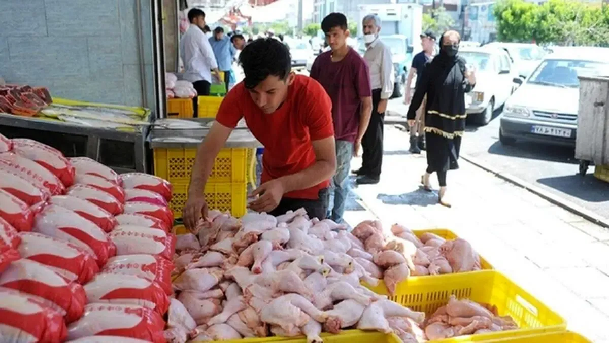 قیمت جدید مرغ رسما اعلام شد