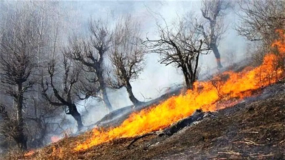 اعزام بالگرد برای مهار حریق در جنگل‌های مریوان/ زبانه آتش در بیش از ۲۰۰ هکتار