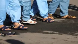 انهدام باند کلاهبرداری شرکت هرمی