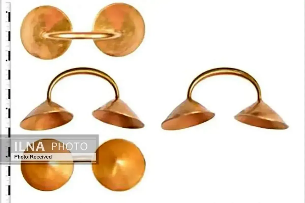 کشف گنج میلیاردی توسط یک گنج یاب آماتور