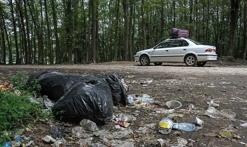 جنگل در تسخیر زباله/عکس :بهروز خسروی