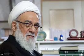 آیت الله گرامی: رضاخان از خشونت نتیجه‌ای نگرفت | برخوردهای جاهلانه، خشونت‌آمیز و تند، اثر خوبی ندارد