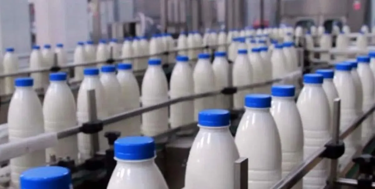 لبنیات «میعاد» تعطیل شد