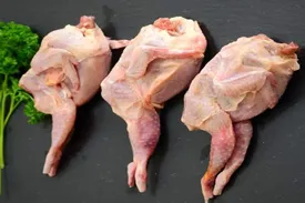 گوشت این پرنده ؛ منبعی غنی از ویتامینها و مواد معدنی برای تقویت بدن