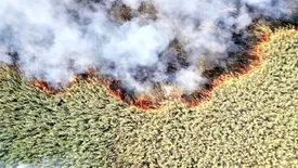 آتش بلای جان هور