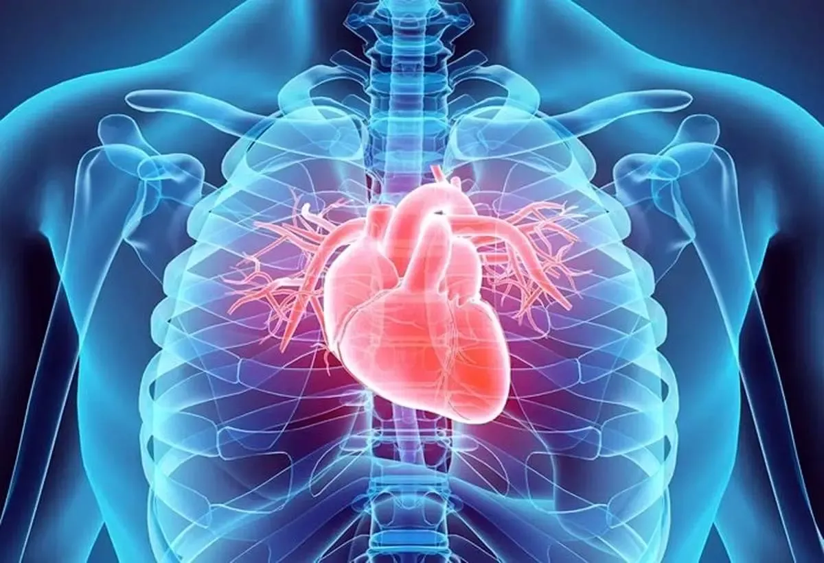 فشار شغلی چگونه سلامت قلب را تحت تاثیر قرار می‌دهد؟