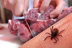 آژیر خطر این بیمار در خراسان رضوی به صدا در آمد