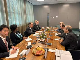 تاکید معاون وزیر خارجه بر اجرای بدون تبعیض مفاد کنوانسیون منع سلاح‌های شیمیایی