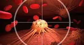 50 سالهها حتما بخوانند | راه های پیشگیری از سرطان پروستات