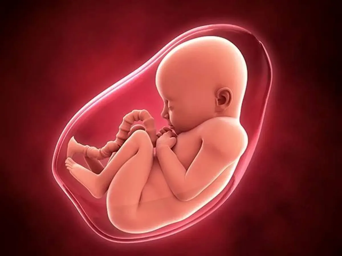 نکاتی در مورد سقط‌ جنین که باید بدانید