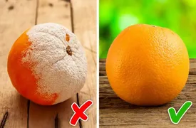 خوراکی کپک زده را دور بیاندازیم یا فقط کپک را جدا کنیم؟