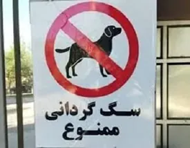 سگ گردانی در این شهر هم ممنوع شد