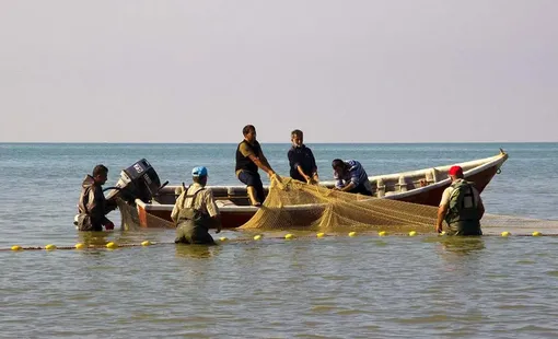 آغاز فصل صید ماهی در خزر/عکس: مریم هاشمی