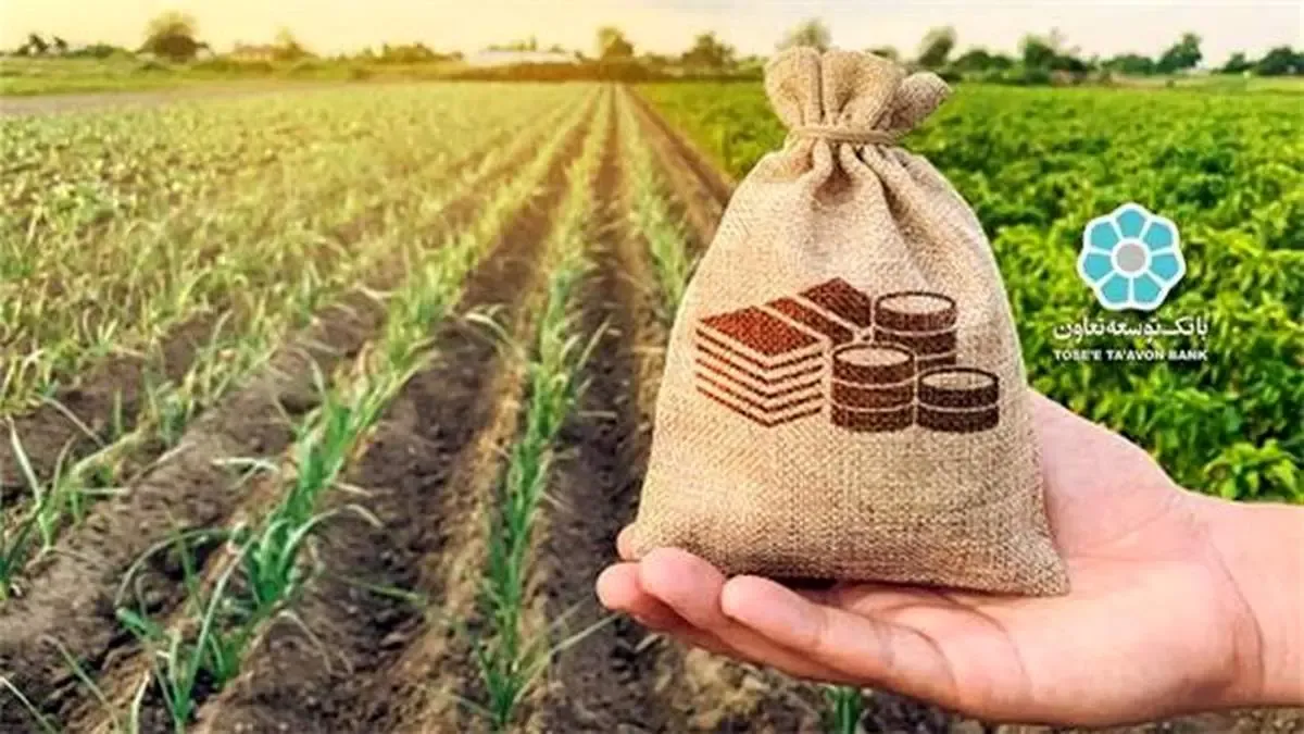 بانک توسعه تعاون 24 هزار و 500 میلیارد ریال تسهیلات اشتغال پایدار روستایی پرداخت کرد