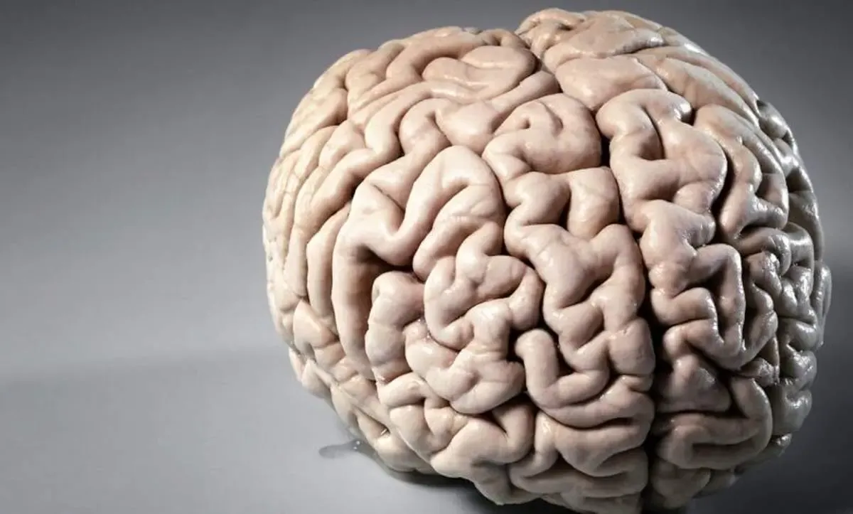 درمان بیماری آلزایمر با انار