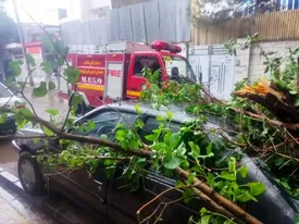 صفر تاصد دریافت خسارات ناشی از توفان