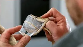 این مار پرخاشگر با یک نیش ۴۰۰ نفر را می کشد!