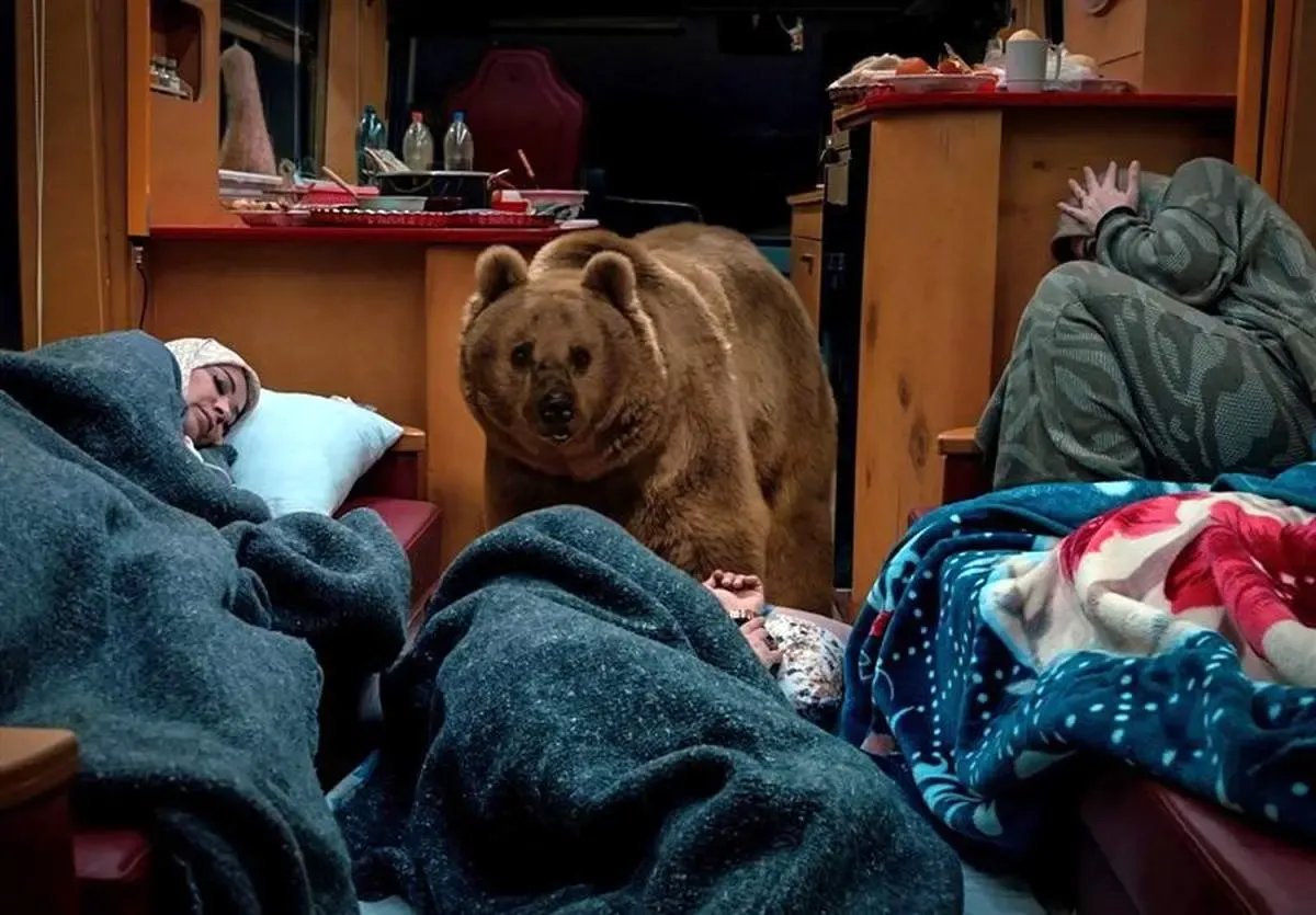 ناگفته‌هایی جالب از  ورود «خرس» به پایتخت