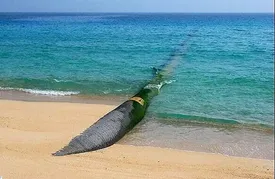 سخنگوی صنعت آب: انتقال آب از خزر و عمان به تهران در کار نیست